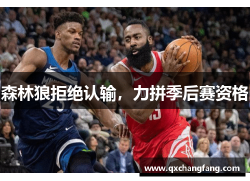 森林狼拒绝认输，力拼季后赛资格